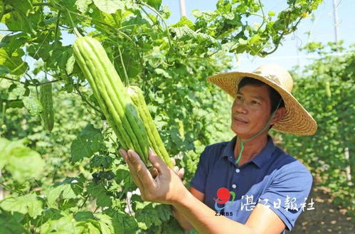 28861元 这个数据背后不简单