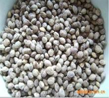 绛县众信苗木专业合作社 优质新樱桃种子供应与价格解析