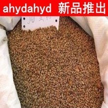 松柏种子最新产品参考信息与种植指南