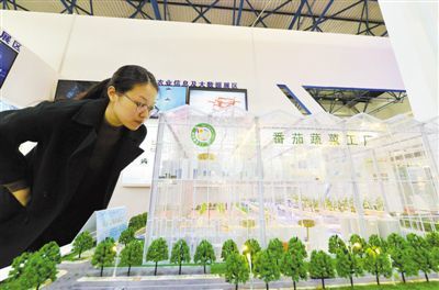 现代农业的绿色转型 种子苗木的生态实践与创新路径