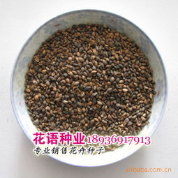 江苏沭阳县花语花卉园艺场产品供应 果树苗子、草坪种子与绿化苗木精选推荐